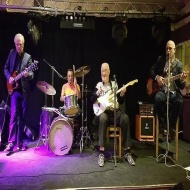 Swamp Dog Millionaires (GB)